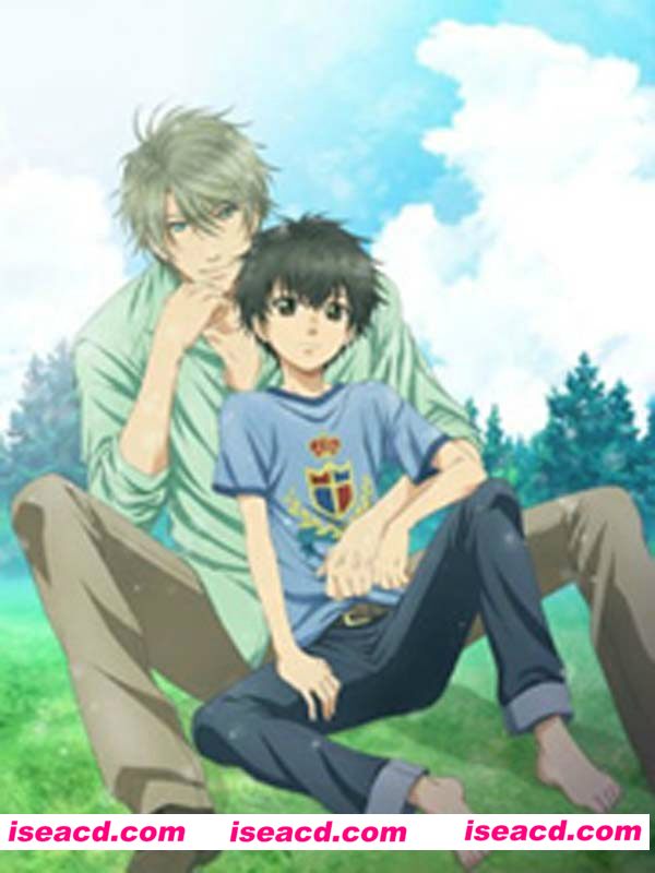 《超级恋人/Super Lovers》[2016][日本][日语/中文字幕][10集全][720P][1.91G][M-854]