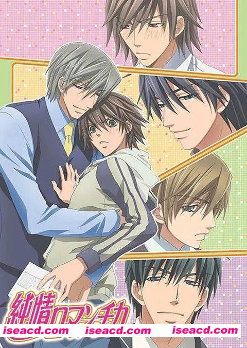 《纯情罗曼史》[2008][日本/日语][bl肉][每集约158M][12集][bhd文件]