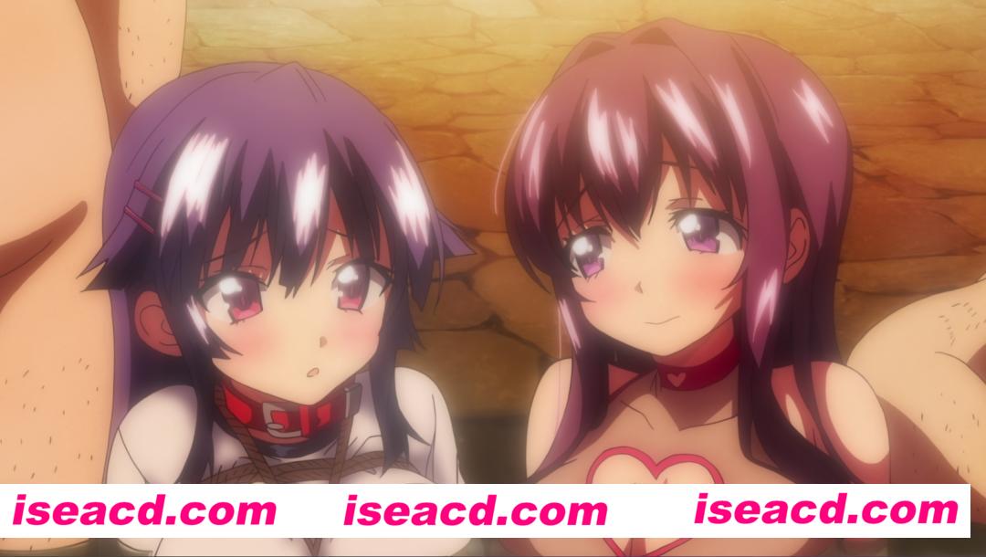 【福利番剧/中字/4K合集】千鹤酱开发日记 1-6 全集中字4K典藏版【3.9G】