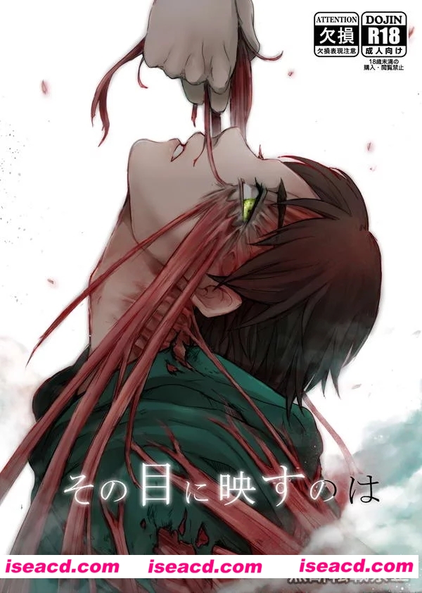 [八百屋 とめと][漫画]【進撃の巨人 进击的巨人】 利威尔x艾伦[その目に映すのは]