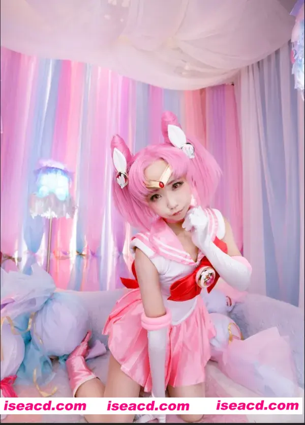 【COSPLAY】さくら。製作所]美少女戦士セーラームーンうさぎちびうさROM写真集W moon[274p]【400M】