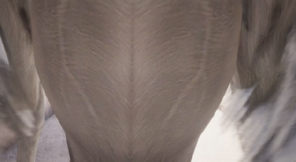 【抽象ACT/中文/3D】我不掉落/I dont Fall V1.00 官方中文硬盘版【6.7G/新作】