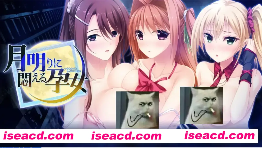 【日式ADV/AI汉化/拔作】月明りに悶える孕女 Claude-3-7-sonnet翻译版【900M/全CV/新汉化】