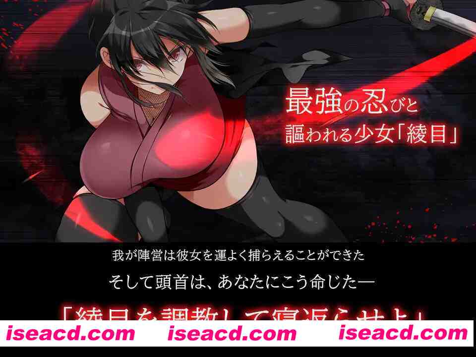 【大型SLG/官中/动态/PC】忍墮－女忍調教 女忍者堕落：忍堕とし Shinobi VB.13126066 STEAM官方中文版+DLC+攻略【11.3G】