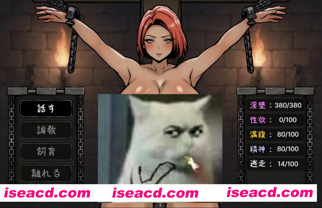 [日式SLG/AI汉化/动态CG] 孕囚战姬·受胎调教记/孕囚戦姫 ～受胎調教記～ AI汉化版 [600M/新作]