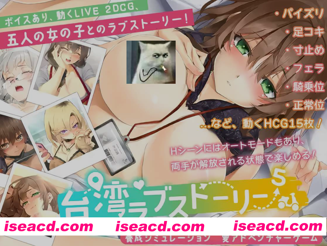 [SLG/官中/全动态]  台湾爱情故事⁵ 台湾ラブストーリー⁵ 官方中文版 [3.7G/新作/CV]