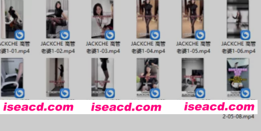 [视频/步兵/合集] 色色短剧中文合集 高管老婆 1~12+第二部 [17V] [1.5G]