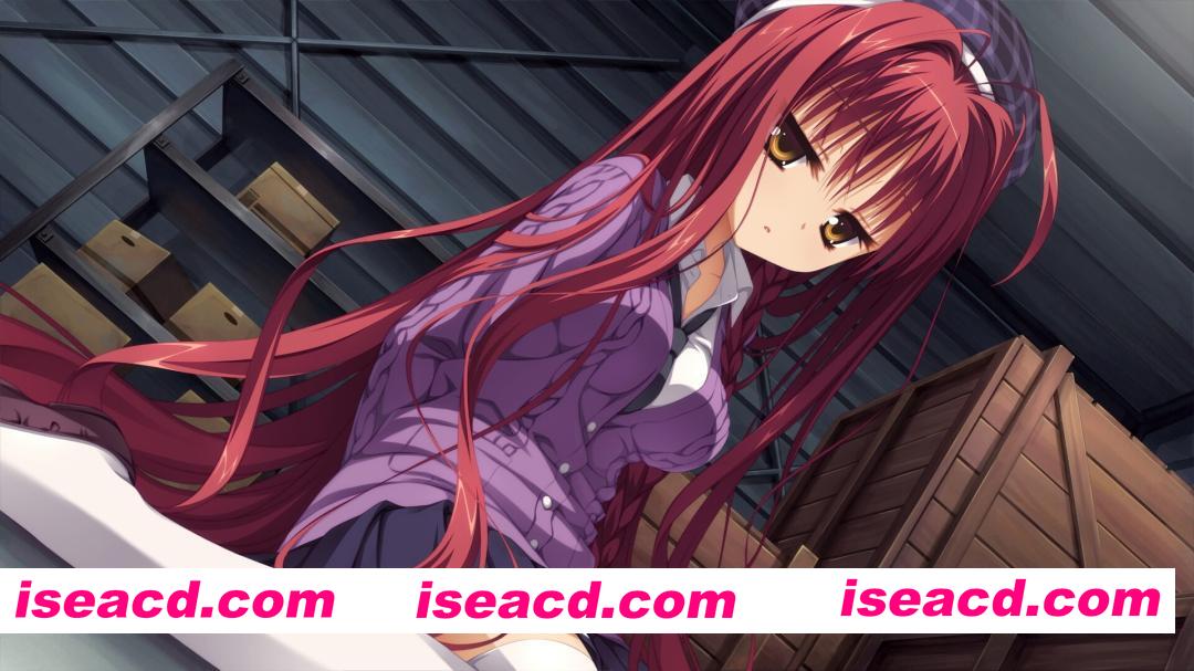 [ADV/中文/2D] 吸血鬼搞事情！/DRACU-RIOT! Build.22142323 官方中文版 [5.4G/新作]